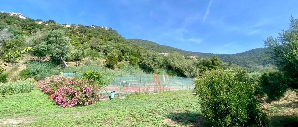 Villa Baievue Cavalaire-sur-Mer Dış mekan fotoğraf