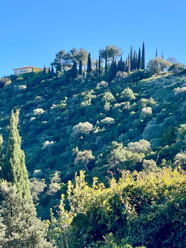 Villa Baievue Cavalaire-sur-Mer Dış mekan fotoğraf